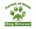 Forest of Dean Dog Rescue